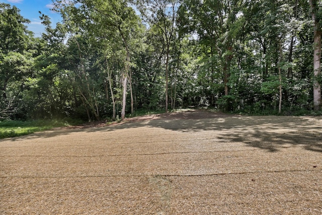 311 Conger St, Cumberland City, TN 37050 - photo 25