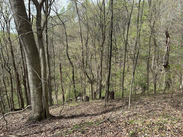 0 Maggart Rd, Elmwood, TN 38560 - photo 24
