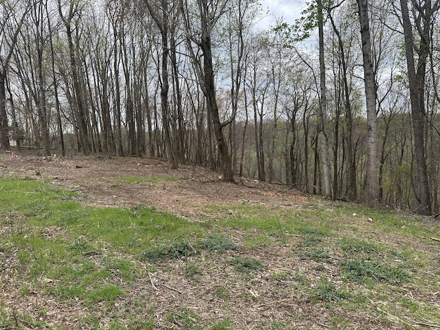 0 Maggart Rd, Elmwood, TN 38560 - photo 1