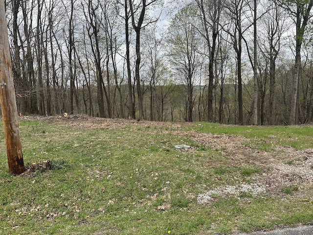 0 Maggart Rd, Elmwood, TN 38560 - photo 3