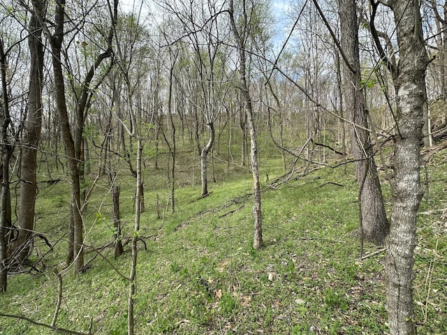0 Maggart Rd, Elmwood, TN 38560 - photo 18