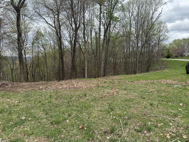 0 Maggart Rd, Elmwood, TN 38560 - photo 15