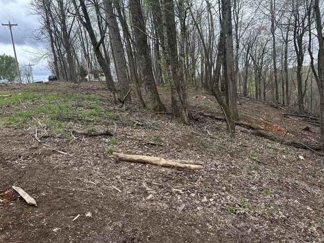 0 Maggart Rd, Elmwood, TN 38560 - photo 9
