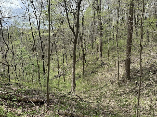 0 Maggart Rd, Elmwood, TN 38560 - photo 25