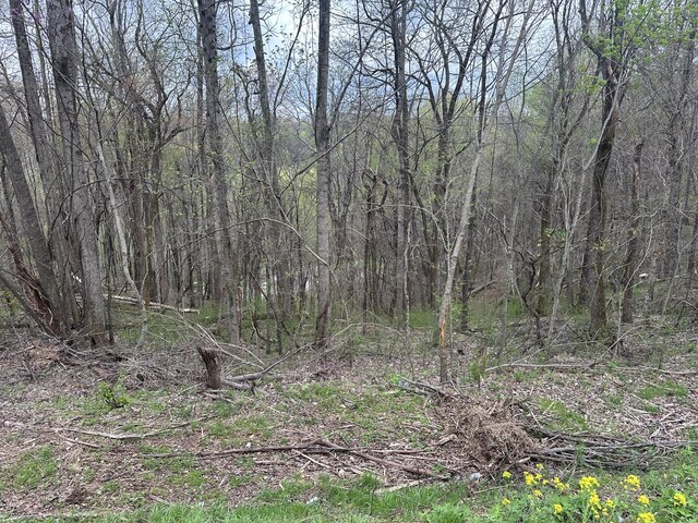 0 Maggart Rd, Elmwood, TN 38560 - photo 7