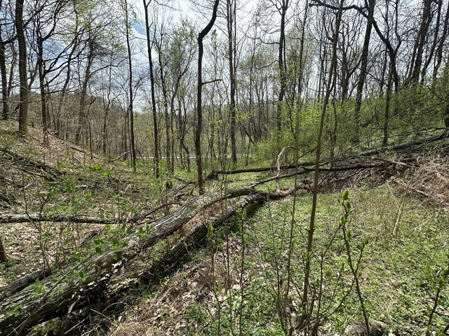 0 Maggart Rd, Elmwood, TN 38560 - photo 20