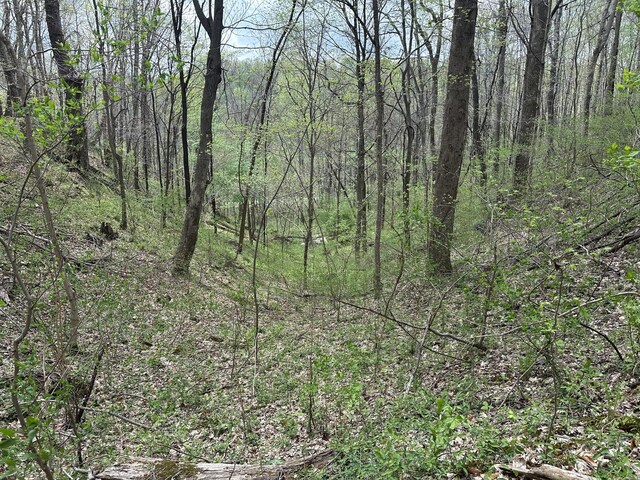0 Maggart Rd, Elmwood, TN 38560 - photo 26