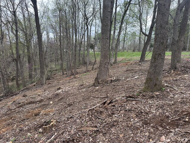 0 Maggart Rd, Elmwood, TN 38560 - photo 11
