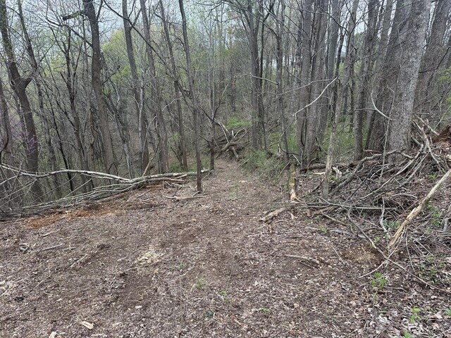 0 Maggart Rd, Elmwood, TN 38560 - photo 6