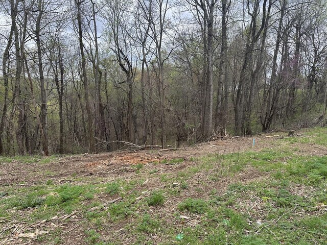 0 Maggart Rd, Elmwood, TN 38560 - photo 4