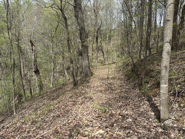 0 Maggart Rd, Elmwood, TN 38560 - photo 23