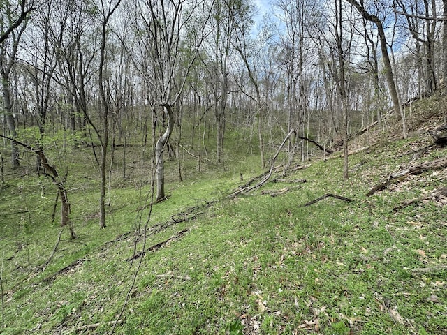 0 Maggart Rd, Elmwood, TN 38560 - photo 19
