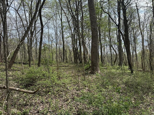 0 Maggart Rd, Elmwood, TN 38560 - photo 27