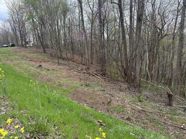 0 Maggart Rd, Elmwood, TN 38560 - photo 5