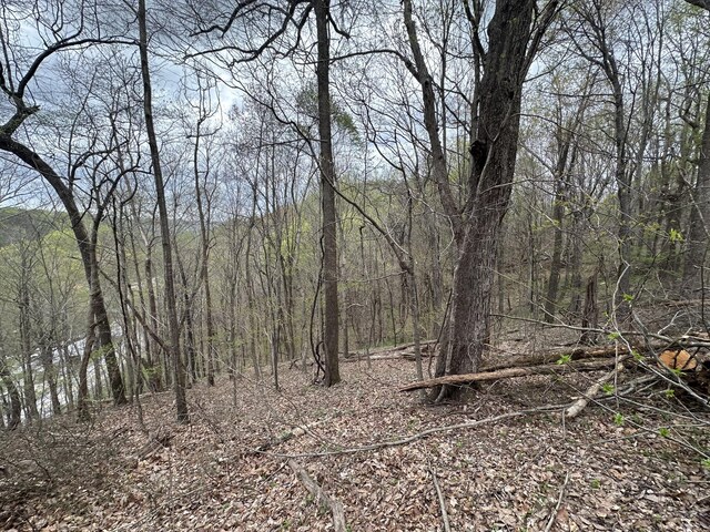 0 Maggart Rd, Elmwood, TN 38560 - photo 13