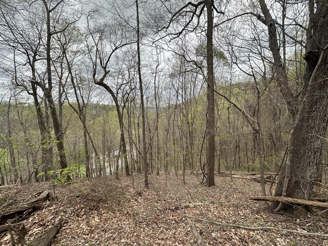 0 Maggart Rd, Elmwood, TN 38560 - photo 12