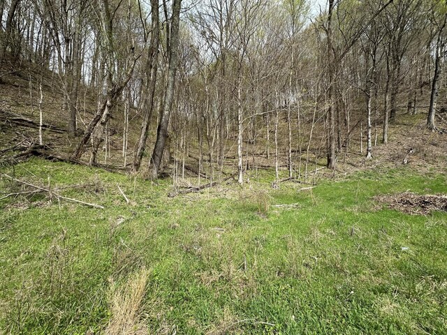 0 Maggart Rd, Elmwood, TN 38560 - photo 16