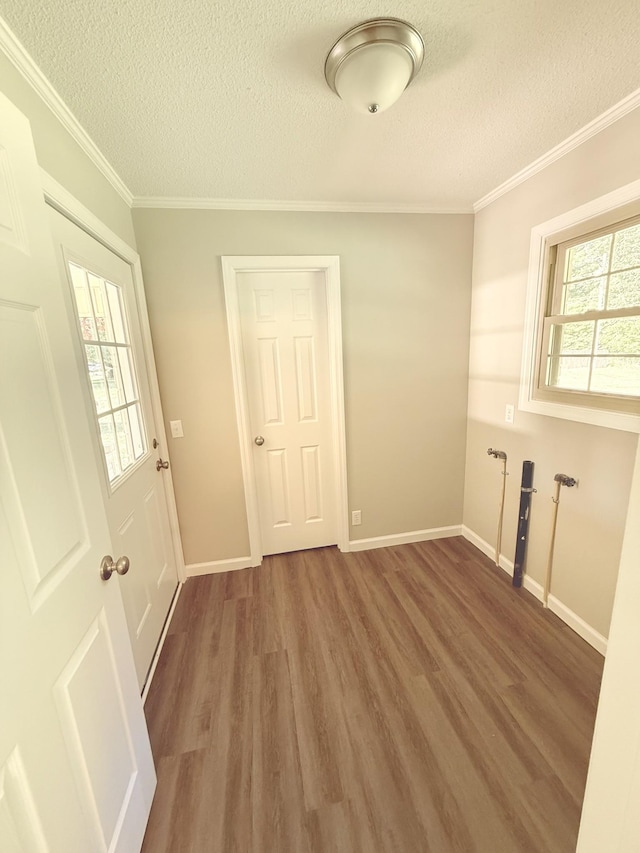 551 Maple Ter, Lafayette, TN 37083 - spare room featuring a textured ceiling, wood finished floors, ornamental molding, and baseboards