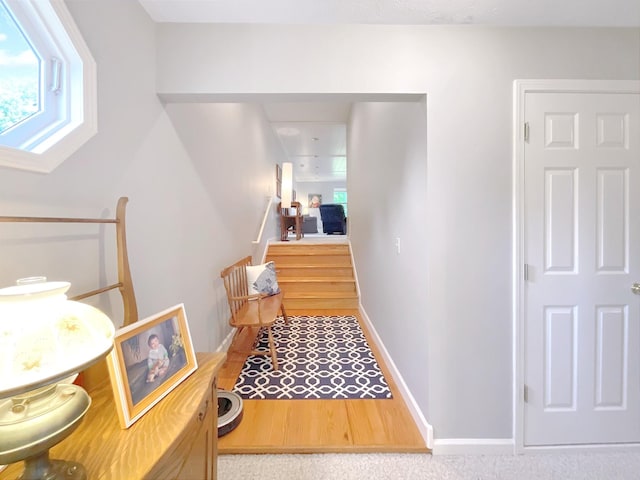 21 Heron Pt, Cadiz, KY 42211 - corridor with baseboards