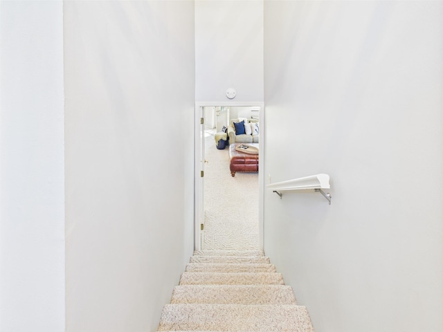 21 Heron Pt, Cadiz, KY 42211 - staircase with carpet flooring