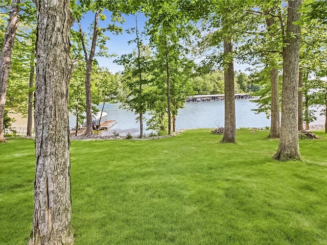 21 Heron Pt, Cadiz, KY 42211 - view of green lawn with a water view