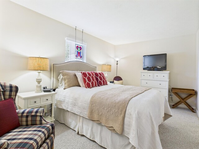 21 Heron Pt, Cadiz, KY 42211 - view of carpeted bedroom