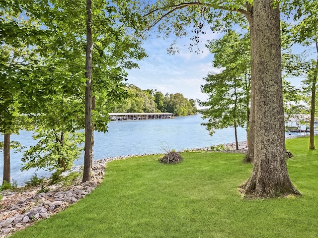 21 Heron Pt, Cadiz, KY 42211 - water view