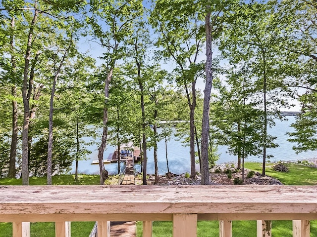 21 Heron Pt, Cadiz, KY 42211 - water view