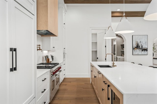 117 Alton Rd, Nashville, TN 37205 - kitchen with premium appliances, a sink, custom range hood, wood finished floors, and an island with sink