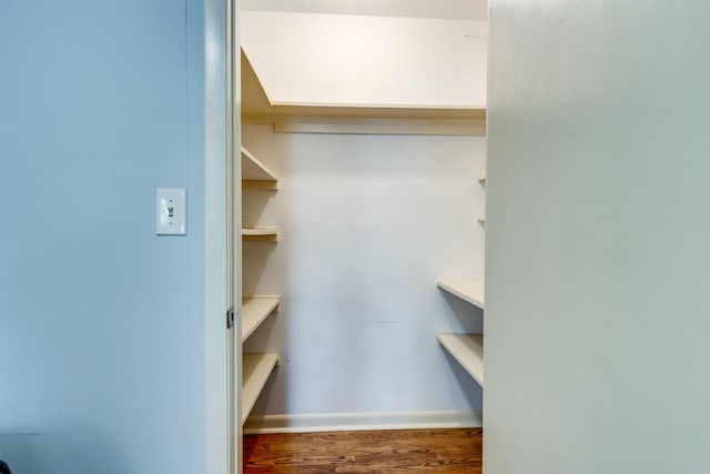 2023 Denise Dr, Columbia, TN 38401 - walk in closet featuring wood finished floors