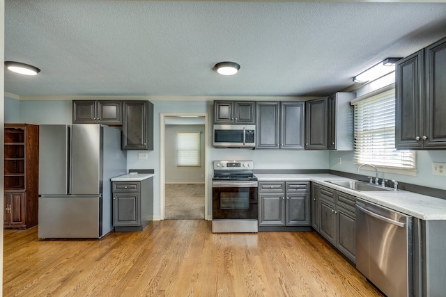 2023 Denise Dr, Columbia, TN 38401 - kitchen with stainless steel appliances, a sink, gray cabinetry, a textured ceiling, and light countertops