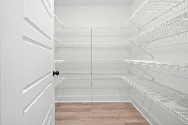 201 Dewberry Ct, Clarksville, TN 37042 - view of pantry