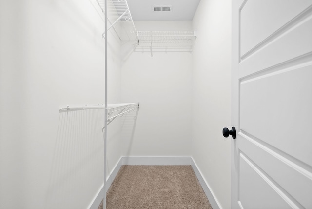 185 Dewberry Ct, Clarksville, TN 37042 - spacious closet with light colored carpet