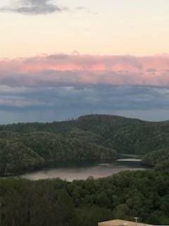 73B Swan Ridge Rd, Hilham, TN 38568