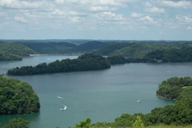 73B Swan Ridge Rd, Hilham, TN 38568