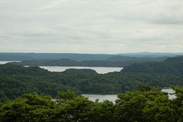 73B Swan Ridge Rd, Hilham, TN 38568