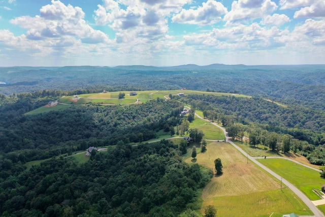 73B Swan Ridge Rd, Hilham, TN 38568