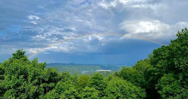 73B Swan Ridge Rd, Hilham, TN 38568