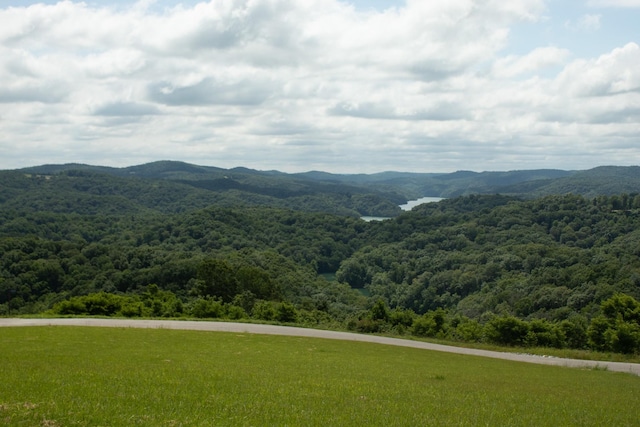 73B Swan Ridge Rd, Hilham, TN 38568