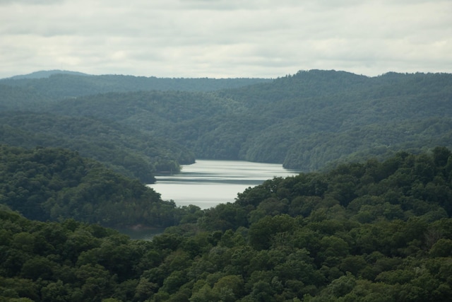 73B Swan Ridge Rd, Hilham, TN 38568