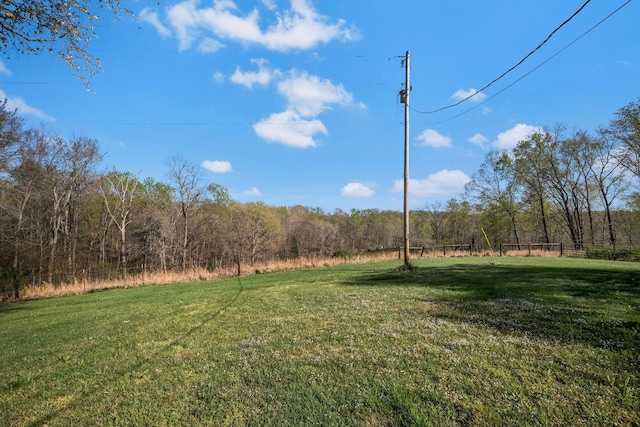 1175 Batson Mill Rd, Charlotte, TN 37036 - photo 28