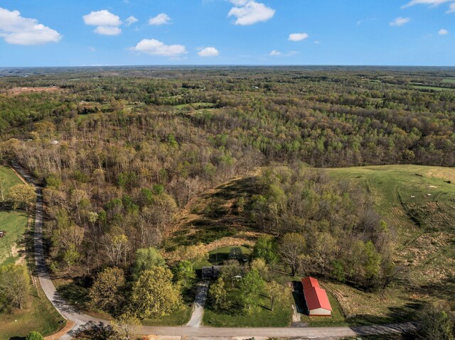 1175 Batson Mill Rd, Charlotte, TN 37036 - photo 31