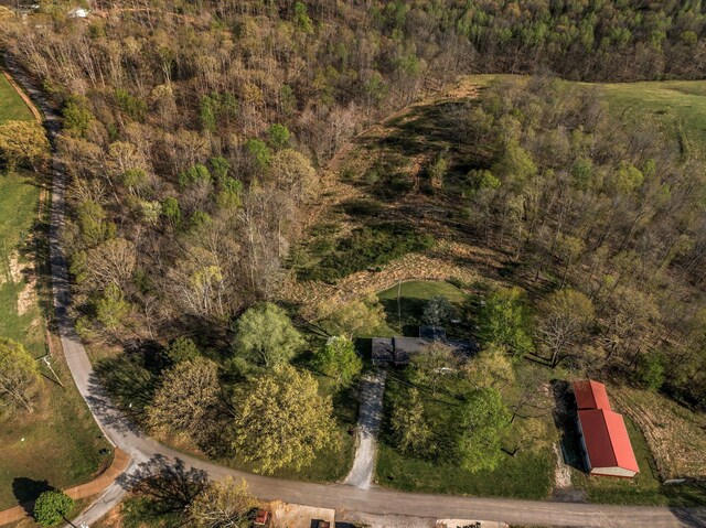 1175 Batson Mill Rd, Charlotte, TN 37036 - photo 32