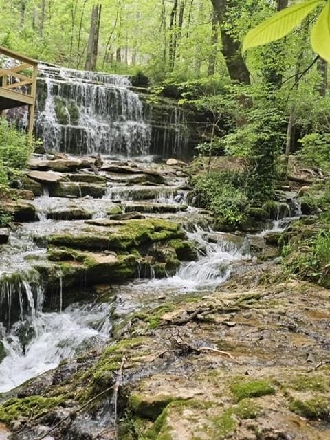 3071 Bayshore Dr, Cookeville, TN 38506 - view of woods