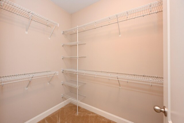 101 Cumberland Blue Trl, Hendersonville, TN 37075 - photo 24