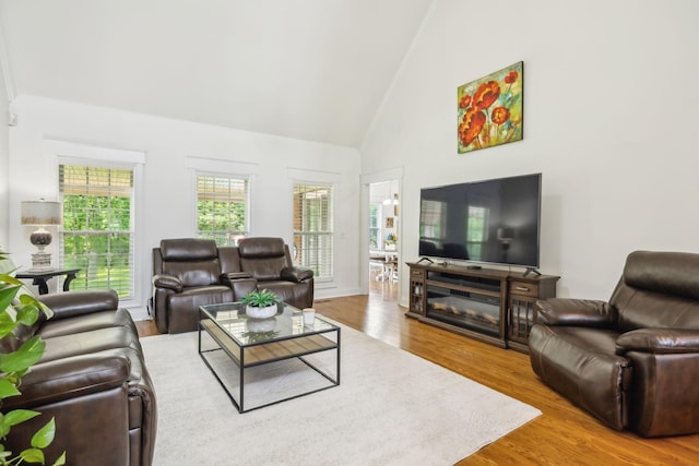 5405 Cliffstone Dr, Smyrna, TN 37167 - living room featuring wood finished floors and high vaulted ceiling