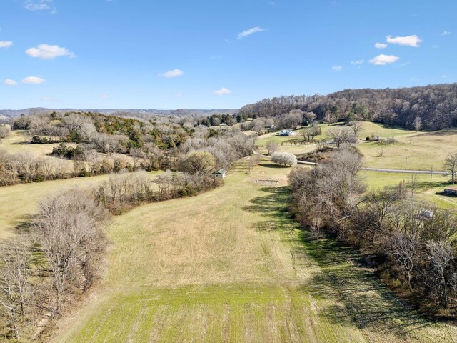 4518 Dry Fork Rd, Hampshire, TN 38461 - photo 6