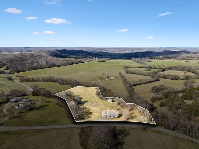 4518 Dry Fork Rd, Hampshire, TN 38461 - photo 1