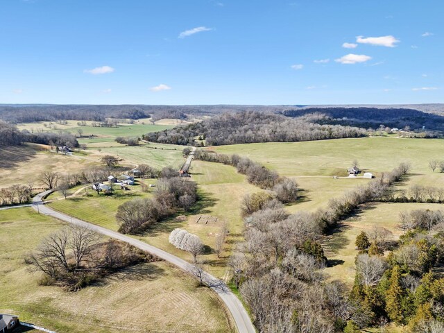 4518 Dry Fork Rd, Hampshire, TN 38461 - photo 2