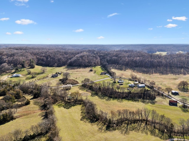 4518 Dry Fork Rd, Hampshire, TN 38461 - photo 5